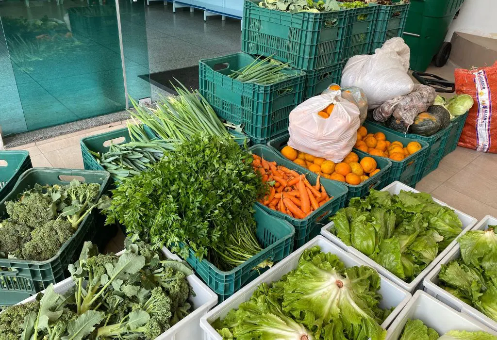 Agricultura familiar e políticas integradas garantem a Santa Catarina o melhor índice de segurança alimentar do país.