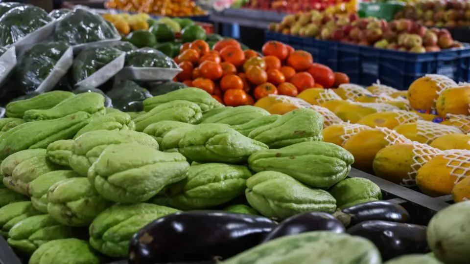 No Paraná, programas como o Mais Merenda e o Banco de Alimentos Comida Boa ampliam o acesso à alimentação saudável e combatem o desperdício.