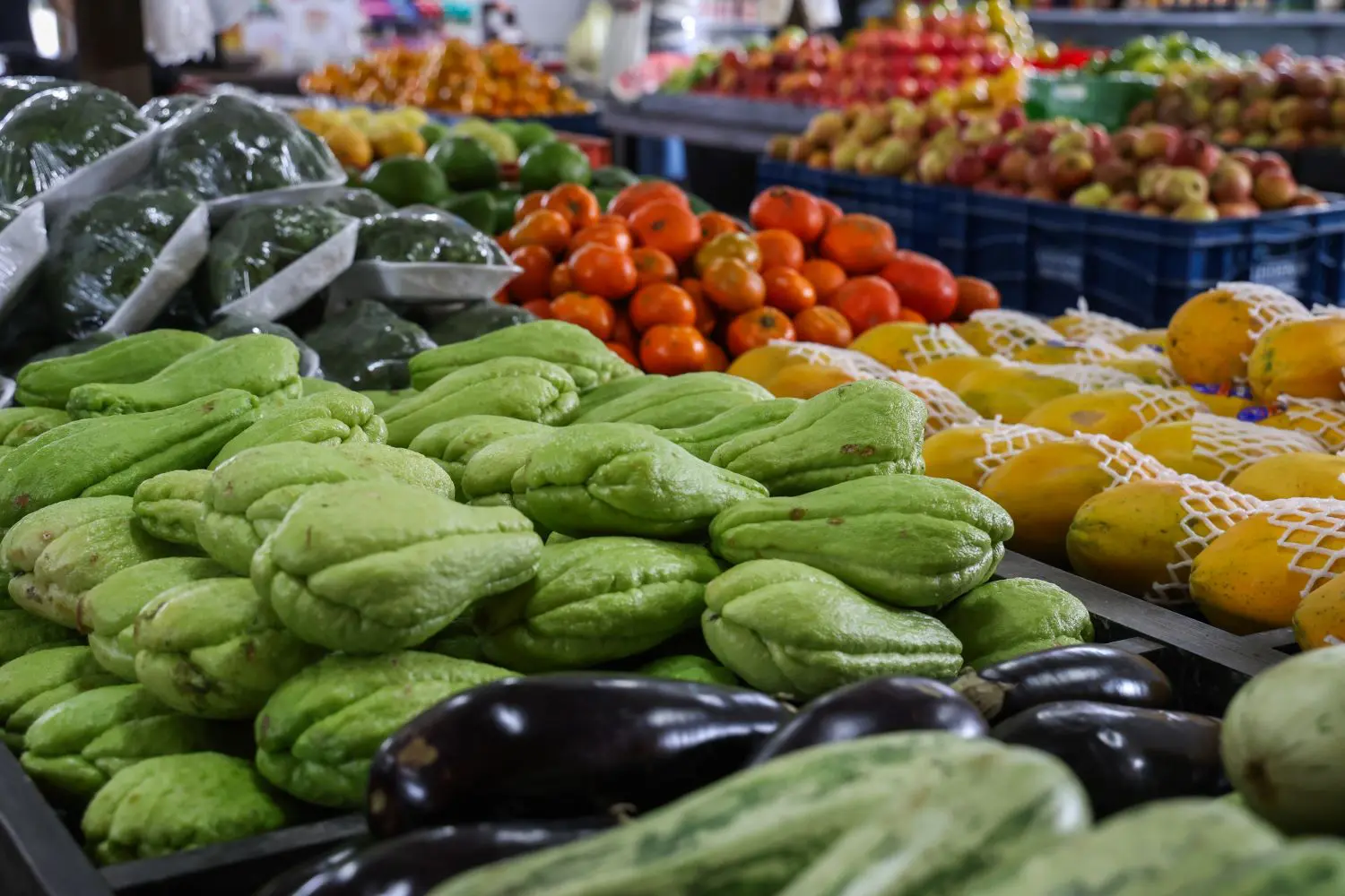 No Paraná, programas como o Mais Merenda e o Banco de Alimentos Comida Boa ampliam o acesso à alimentação saudável e combatem o desperdício.