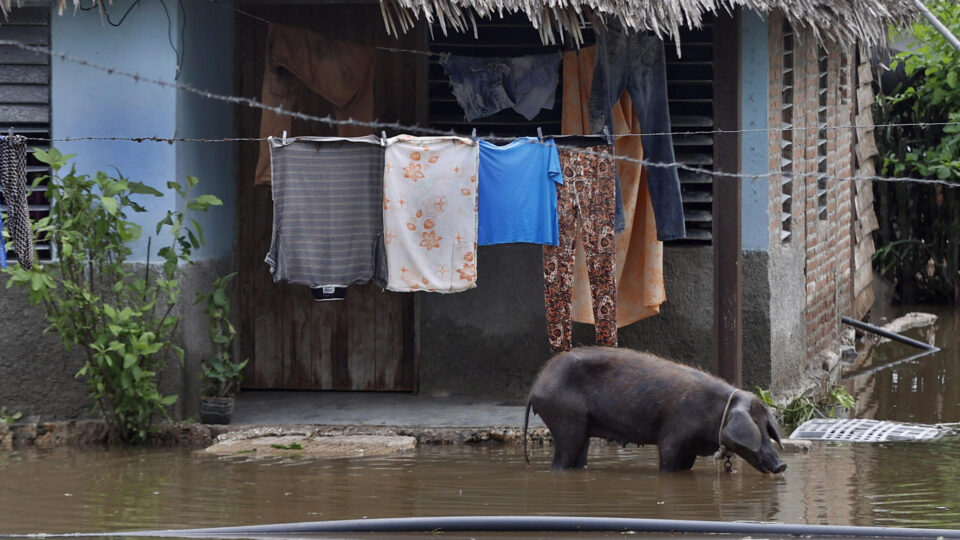 ONG registra novo recorde de protestos em Cuba e denuncia “genocídio silencioso”