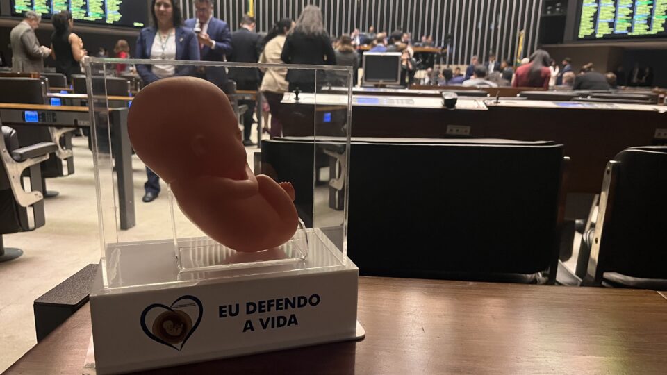 A Câmara derrota o abortismo do Conanda