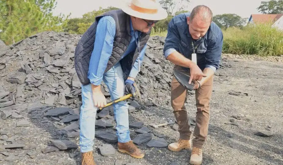 A descoberta de fósseis do Mesosaurus brasiliensis, mais antigos que dinossauros, no interior do Paraná, conecta o presente da engenharia ao passado profundo da Terra, onde os continentes ainda eram um só.