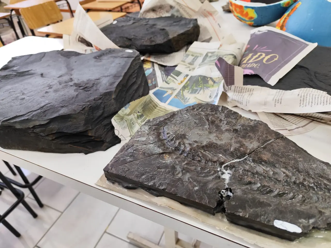 Segundo os pesquisadores, os fósseis do Mesosaurus brasiliensis, encontrados no Paraná e na África, comprovam que os continentes já formaram um único bloco há milhões de anos.