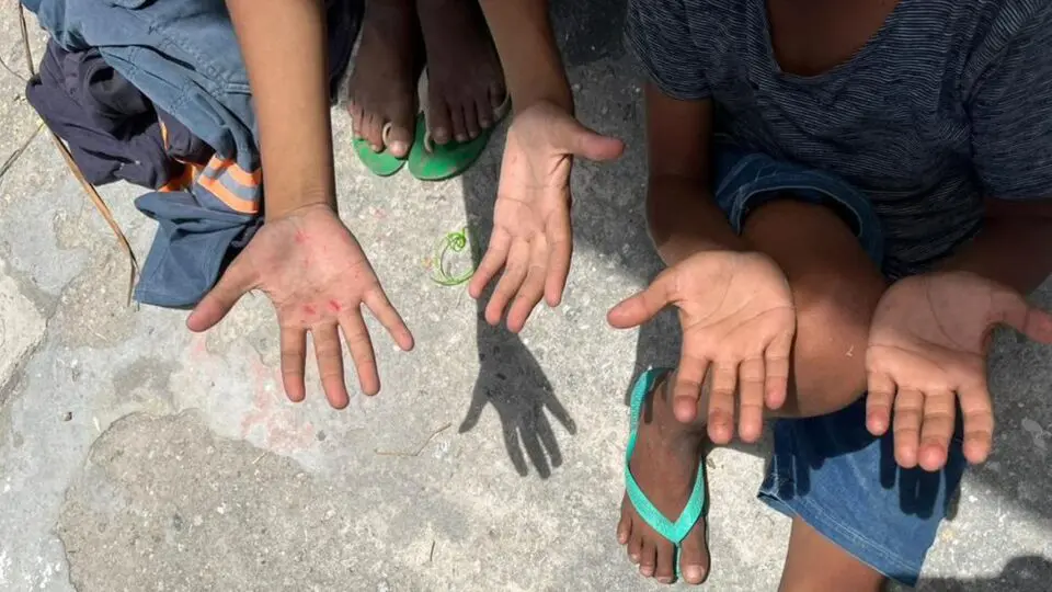 Mesmo proibido por lei, o trabalho infantil ainda afeta 1,6 milhão de meninas e meninos no Brasil, segundo dados oficiais de 2023.
