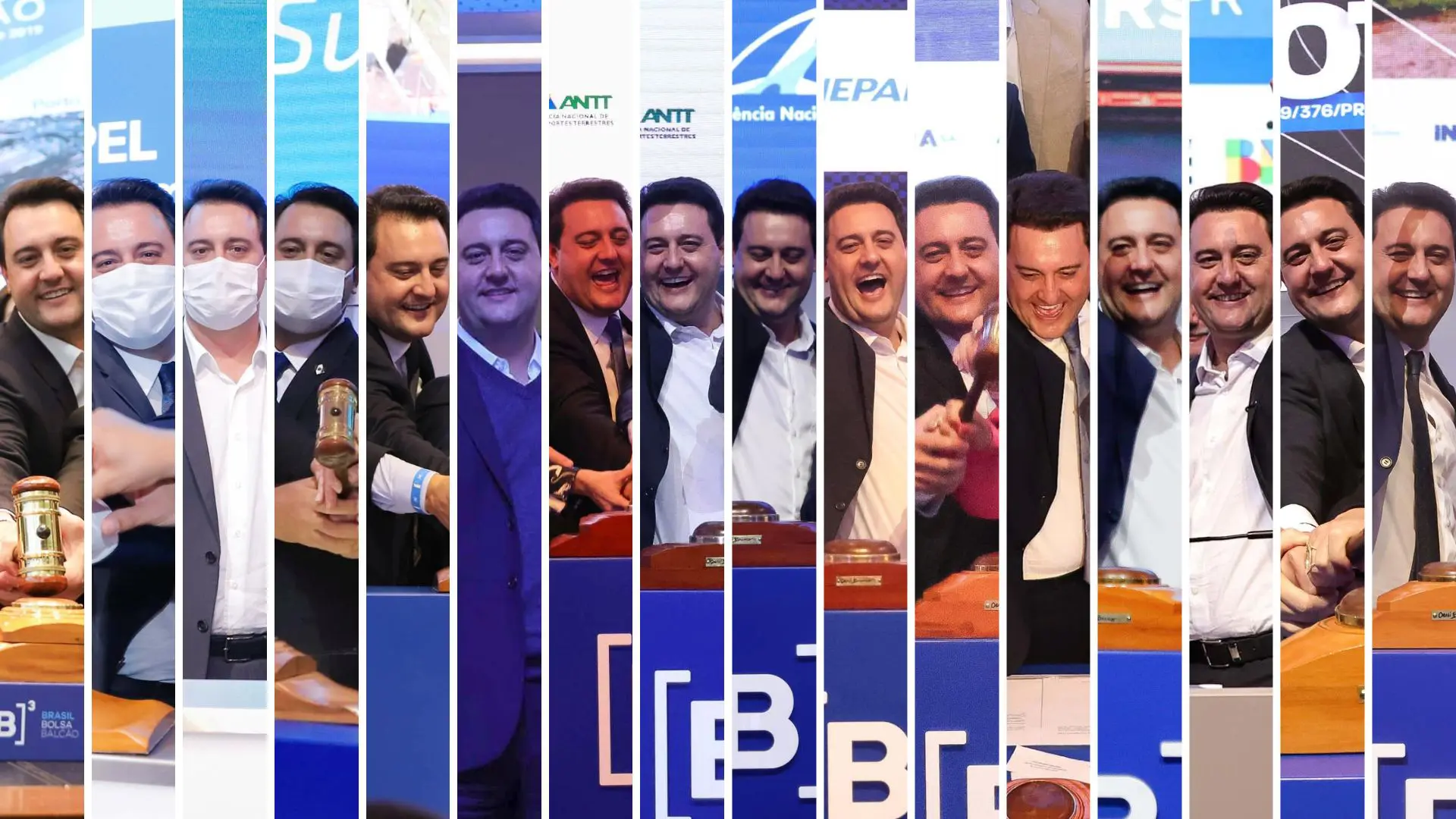 Ratinho Junior Leilões