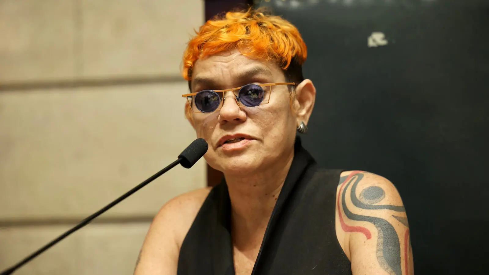 Jacqueline Muniz, durante um debate promovido pela Câmara Municipal do Rio de Janeiro, no início do mês: propostas progressistas radicais para o setor da segurança pública