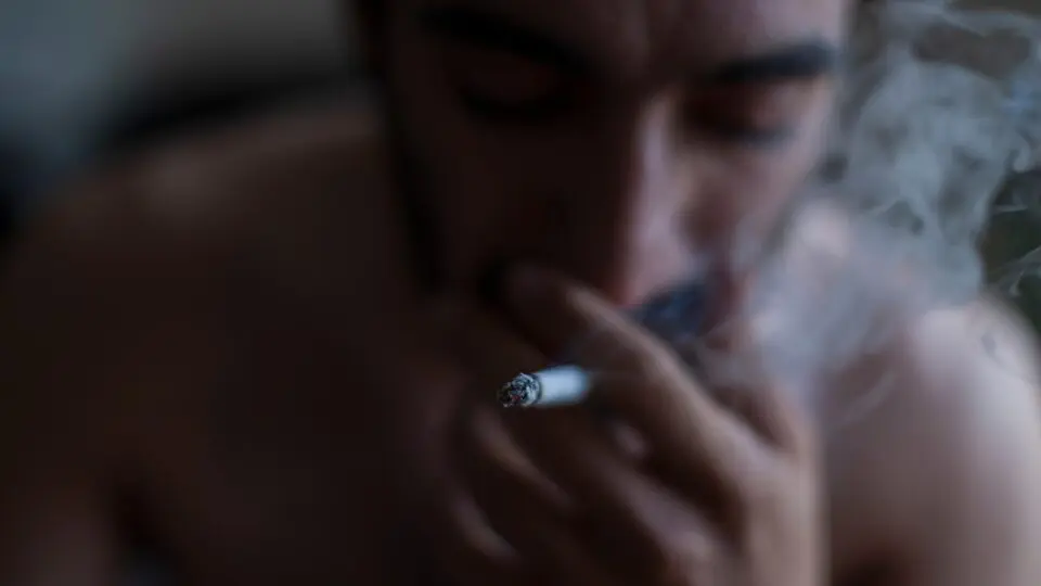 lei proíbe uso de drogas em Santa Catarina