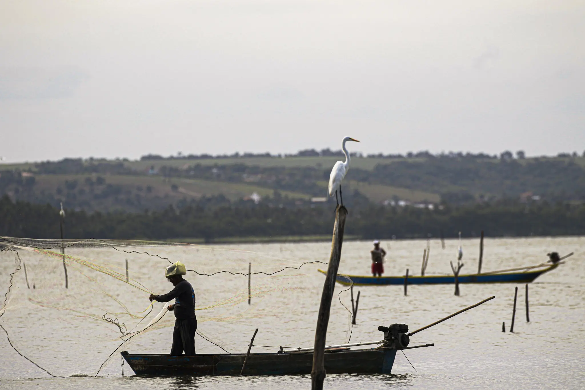 tilapia pescadores