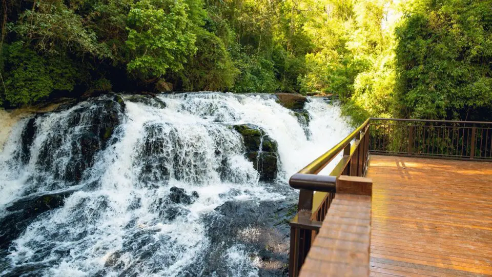 Construída em 1936 e desativada em 1983, a Usina São João foi responsável por levar energia elétrica ao parque e a Foz do Iguaçu nas primeiras décadas do século XX. Hoje, preserva sua memória como novo atrativo turístico do PNI.
