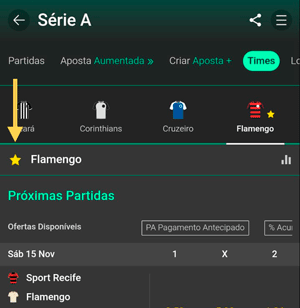 Função de favoritar time na bet365