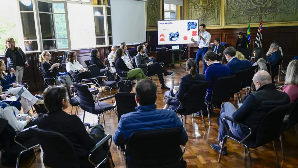 Parceria Harvard rede de educação de São Paulo.