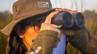 Festival Cidade das Aves, em Antonina, vai celebrar o título internacional e reforçar ações de conservação e turismo sustentável no litoral paranaense.