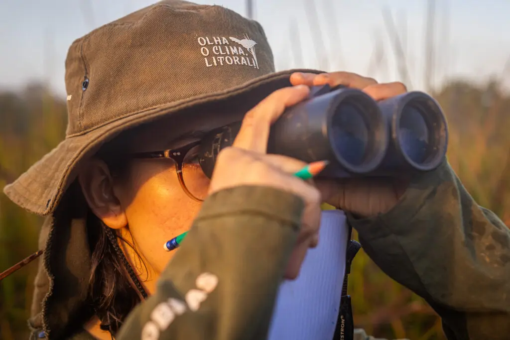 Festival Cidade das Aves, em Antonina, vai celebrar o título internacional e reforçar ações de conservação e turismo sustentável no litoral paranaense.