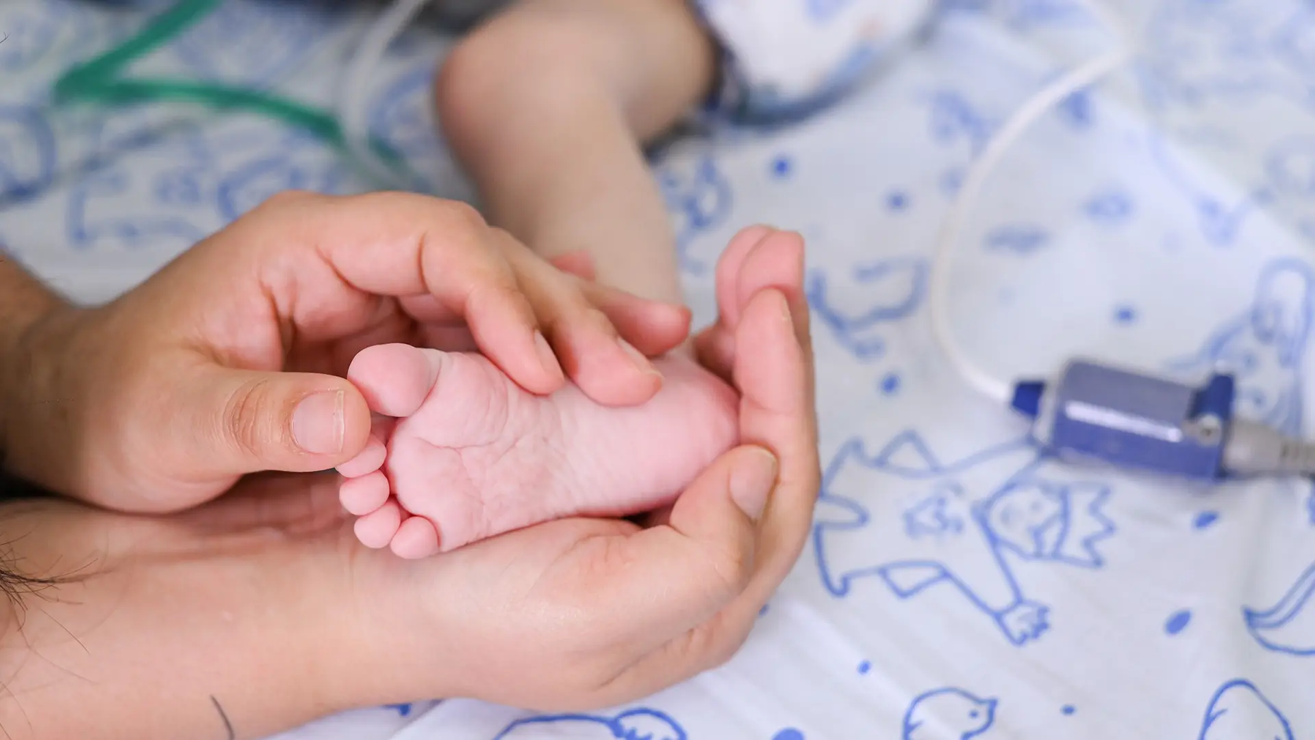 O Hospital também é referência em cirurgias pediátricas complexas, incluindo para recém-nascidos, e é um centro de excelência em cuidados para prematuros