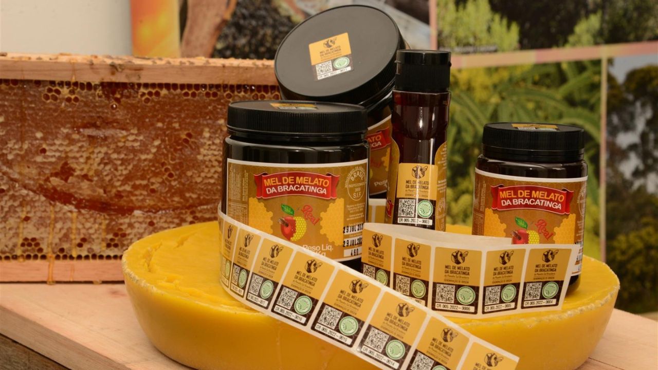 Mel escuro tem participação de insetos na produção; 99% é exportado para Alemanha.