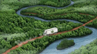 A maconha colombiana é considerada de melhor qualidade, mais forte e mais cara que a maconha paraguaia, que tradicionalmente abastece a maior parte do Brasil.