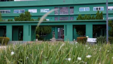 Eleições 2026 incorporam corrida ao novo chefe ao governo de Goiás