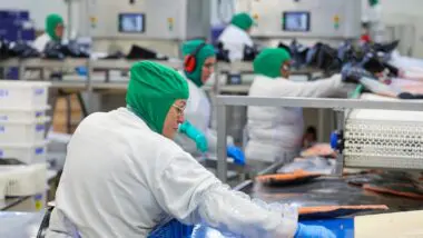 O potencial de destinação do imposto de renda para Santa Catarina em 2024 era de R$ 1,33 bilhão, sendo R$ 860 milhões de empresas e 470 milhões de pessoas físicas.