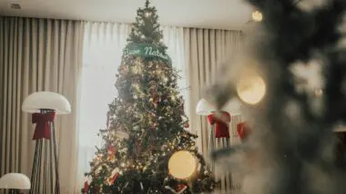 Árvore de Natal, que deve ser montada a partir do dia 30 de novembro – de acordo com tradições cristãs.