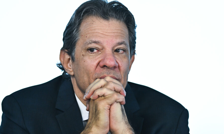 Haddad, o pombo
