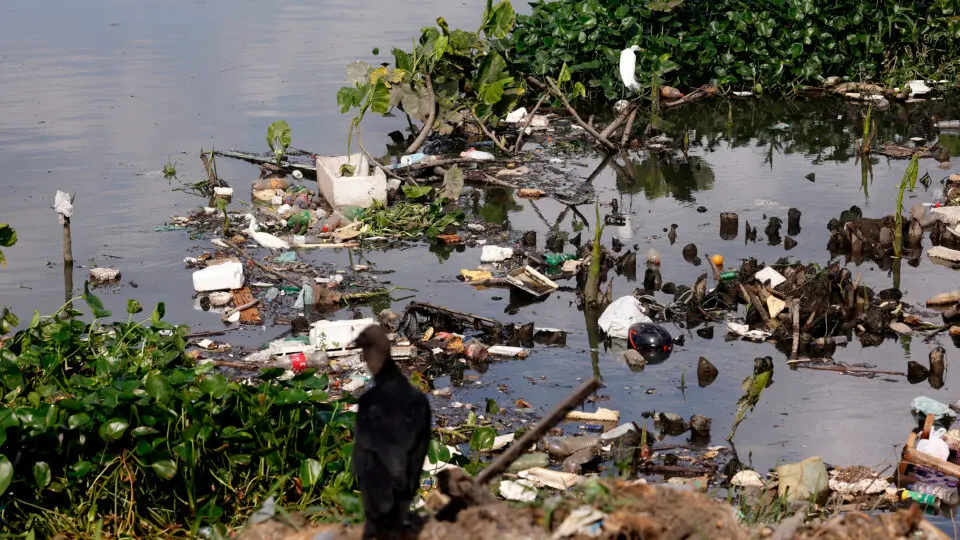 Desenvolvimento na Amazônia virou alvo de disputa política, ambiental e econômica