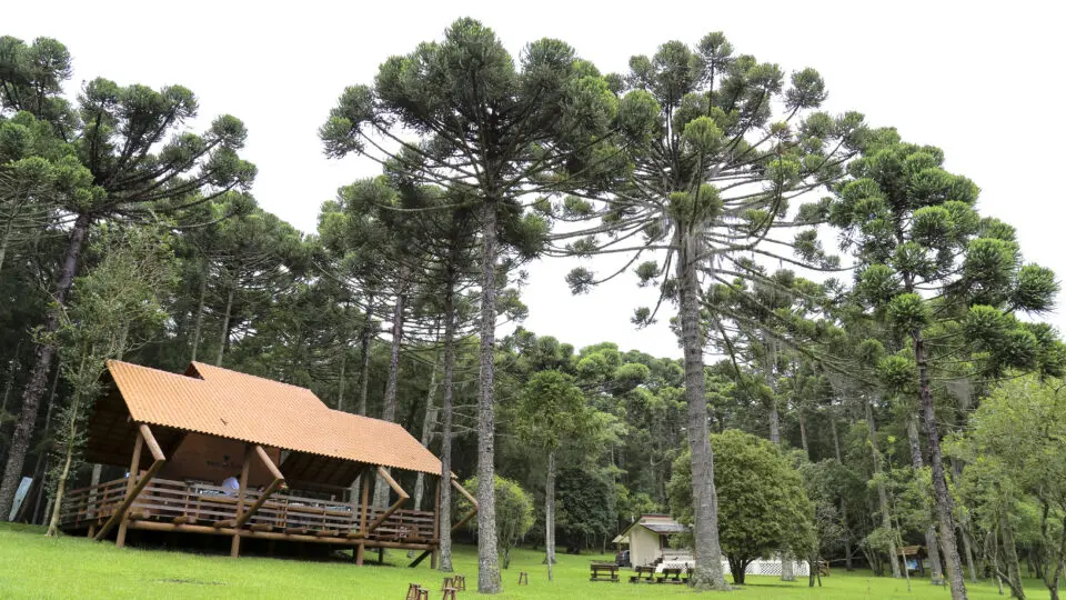 Visitas guiadas na Mata do Uru aproximam estudantes de conceitos de biodiversidade e conservação.
