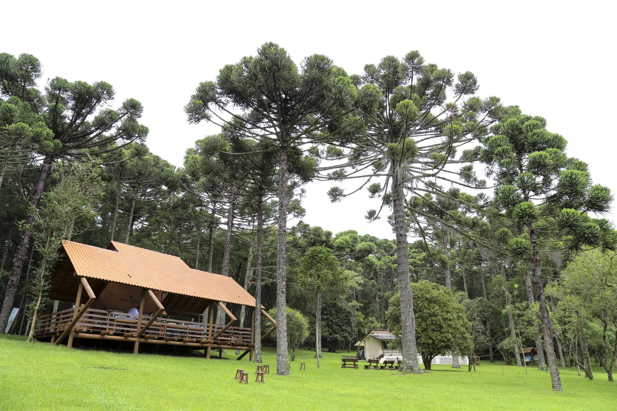 Visitas guiadas na Mata do Uru aproximam estudantes de conceitos de biodiversidade e conservação.