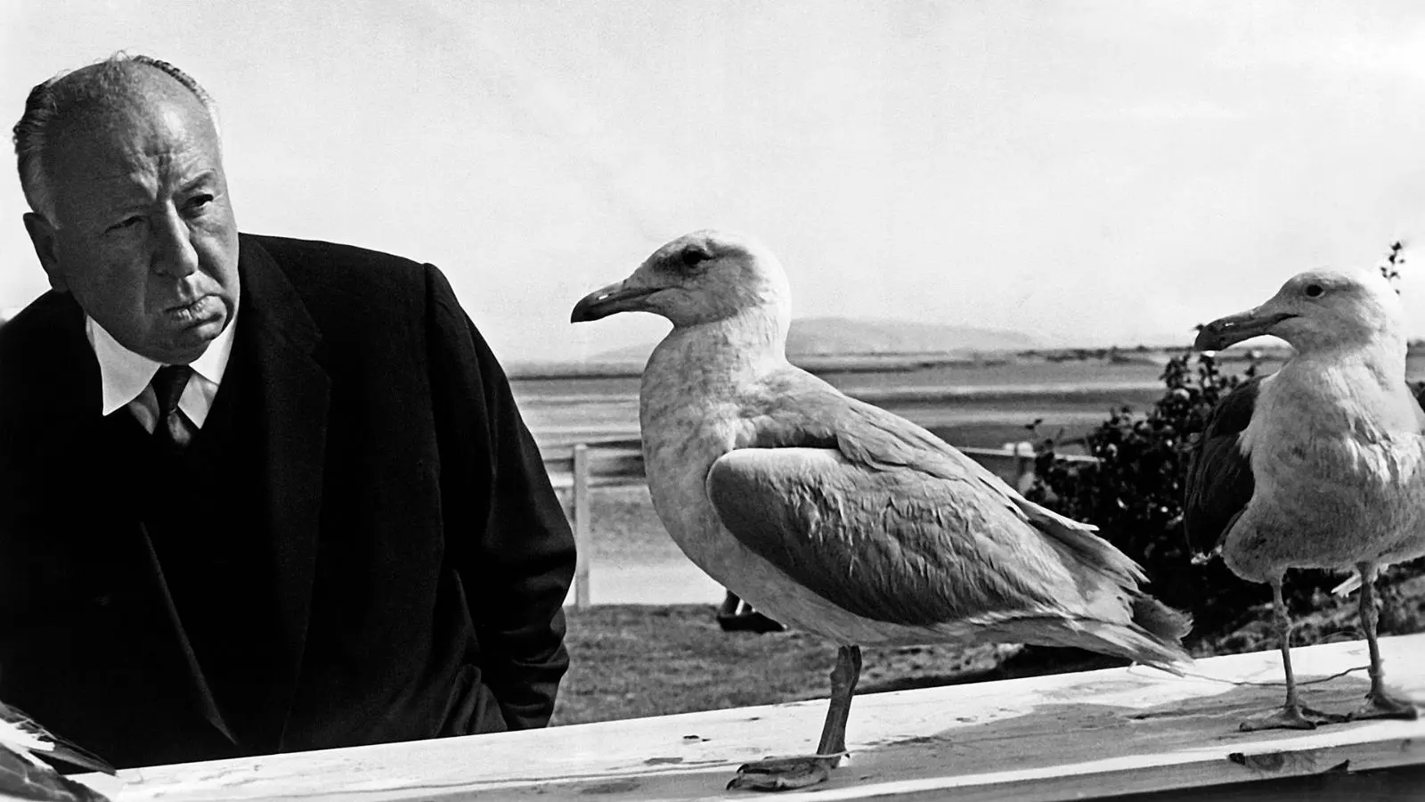 Alfred Hitchcock dirigiu mais de 50 títulos e tornou-se o mestre do suspense.