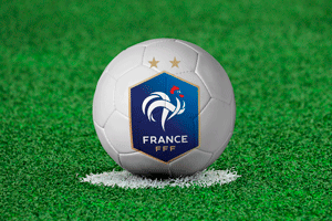Escudo da seleção francesa de futebol