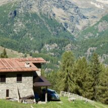 Estudo e especialistas explicam se é melhor viver no campo ou na cidade. Imagem referente a matéria