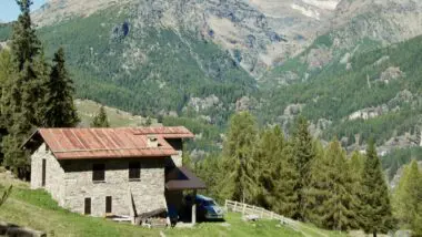 Estudo e especialistas explicam se é melhor viver no campo ou na cidade.