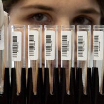 Seus dados genéticos não podem ser trocados como senhas — e revelam informações sobre você e sua família Imagem referente a matéria