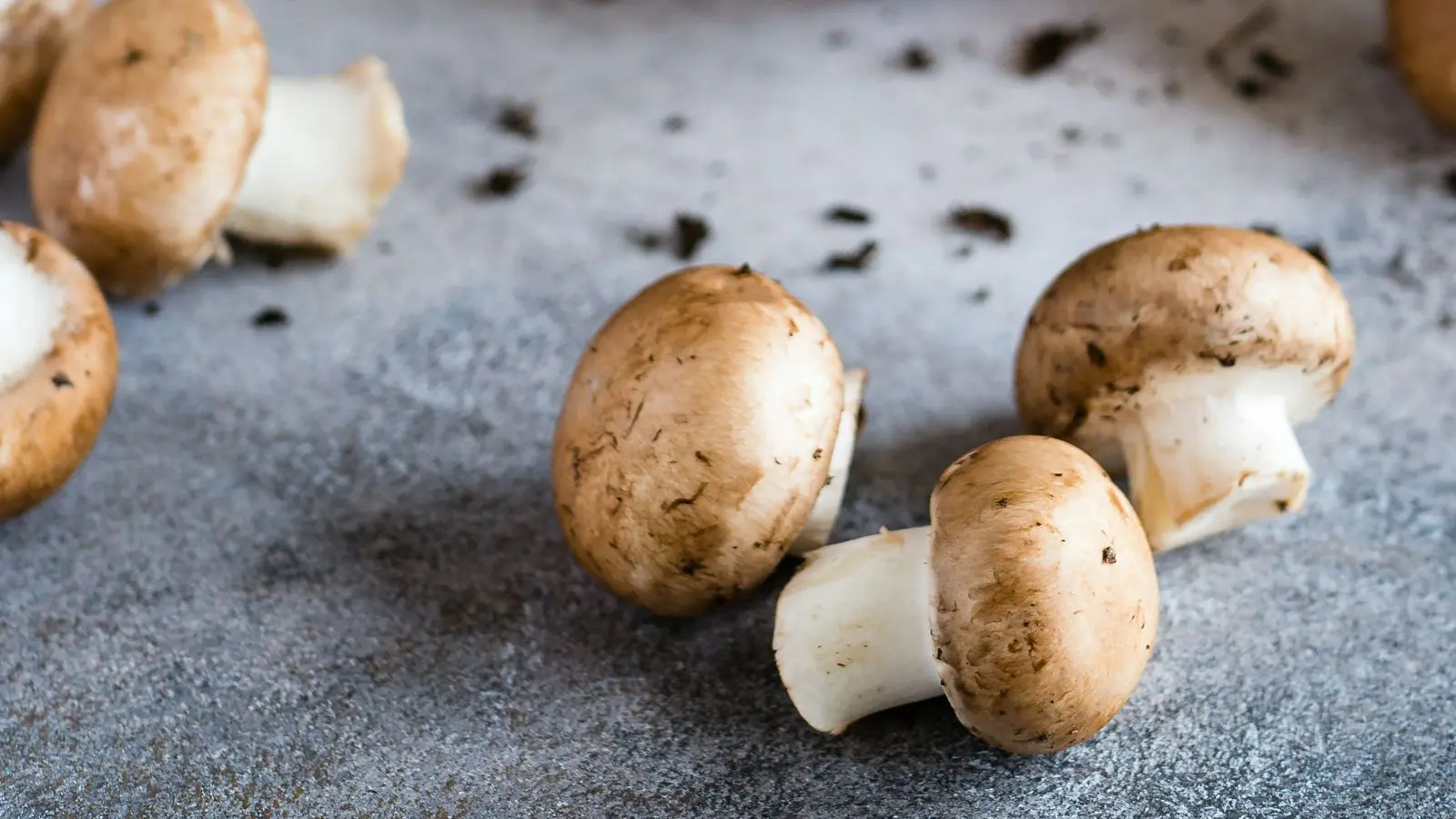 A Espermidina, substância que está presente em cogumelos, ervilhas, soja e queijos de faixa azul, faz bem à saúde.