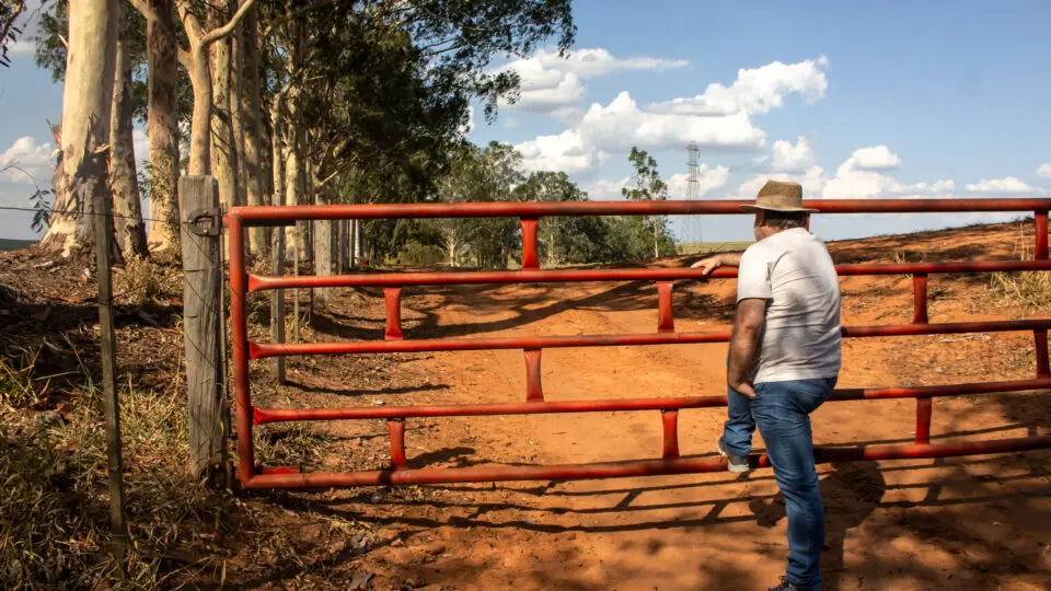 A lei garante: produtor rural tem direito à prorrogação da dívida agrícola quando enfrenta seca, queda de mercado ou perda de safra. Informação correta é proteção no campo!