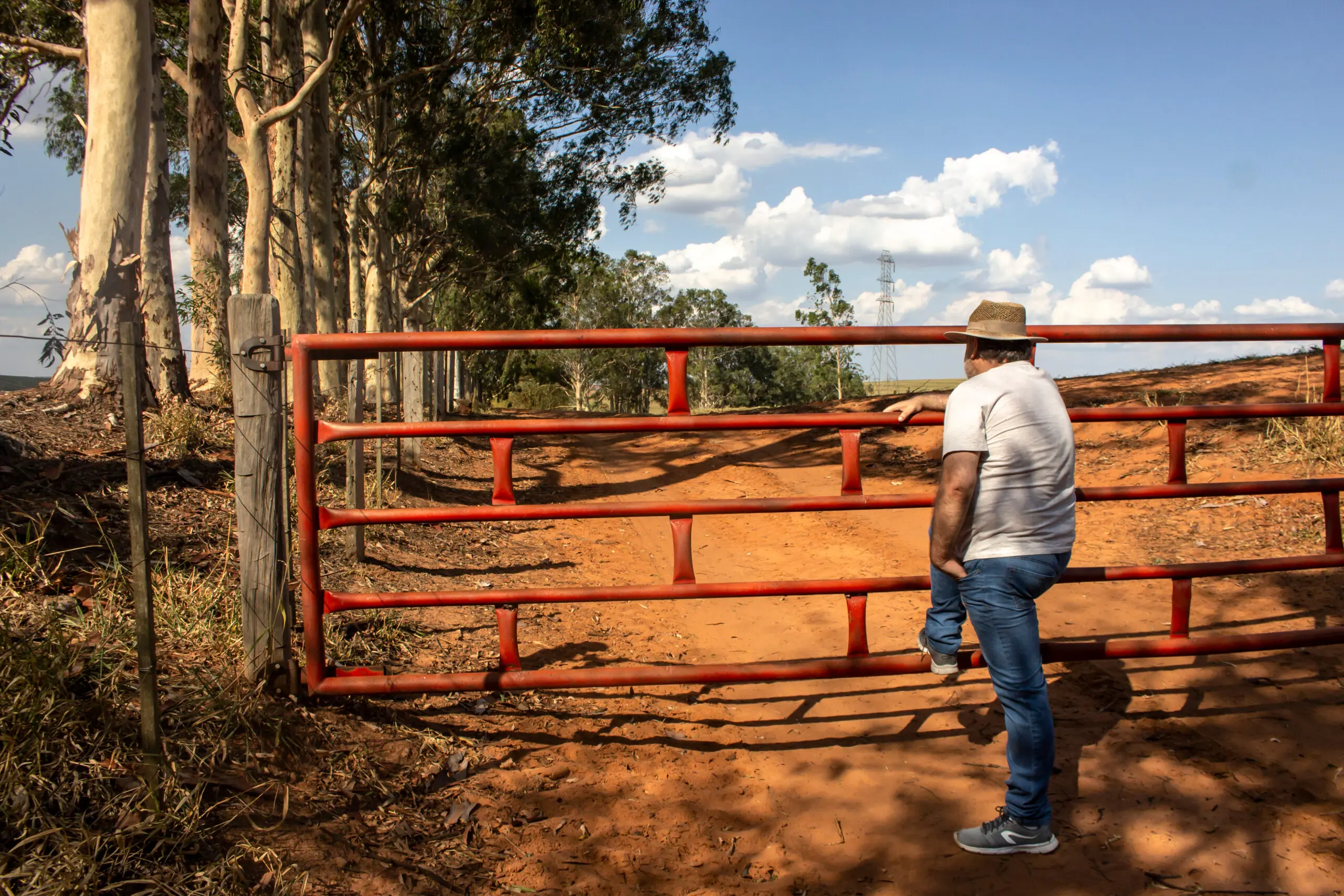 A lei garante: produtor rural tem direito à prorrogação da dívida agrícola quando enfrenta seca, queda de mercado ou perda de safra. Informação correta é proteção no campo!