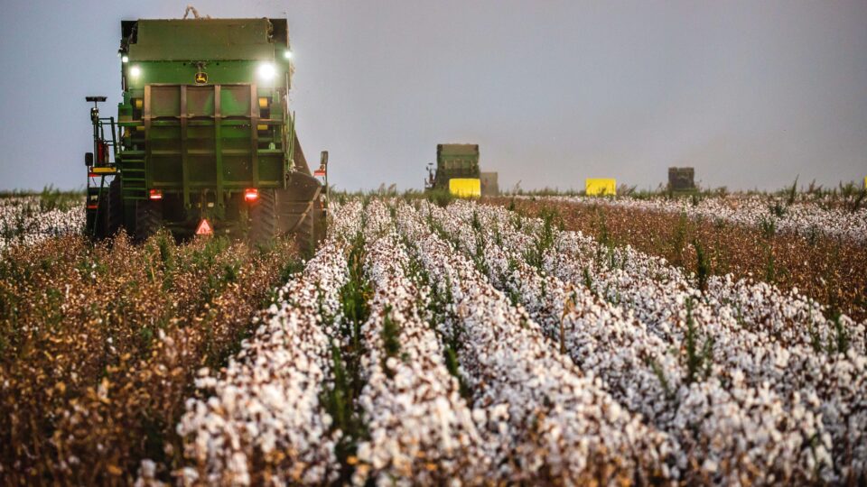 “Simplificação” tributária complica e encarece o trabalho do produtor rural