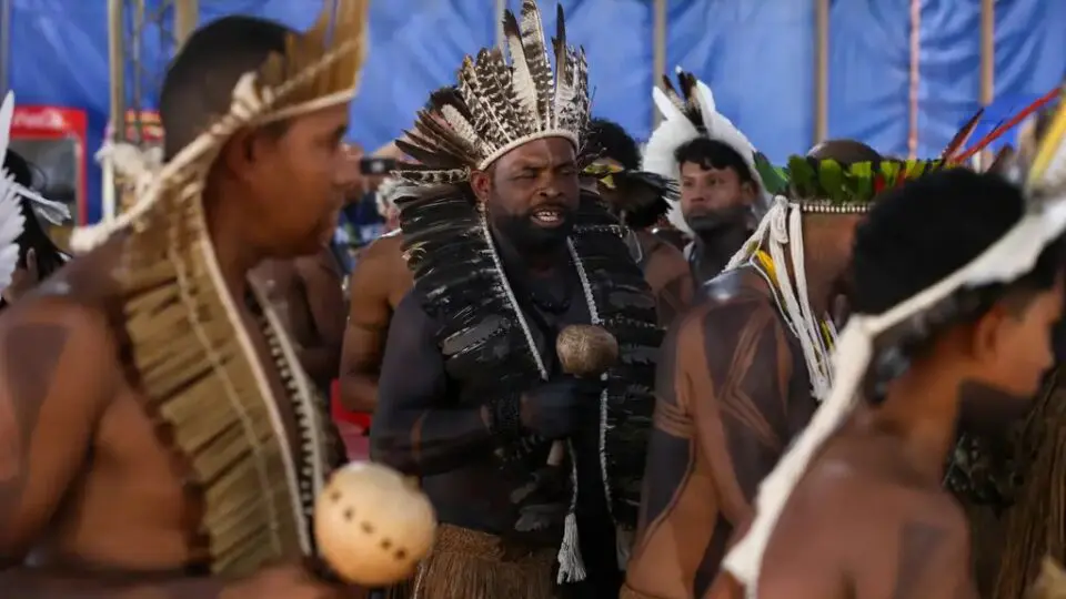ayahuasca