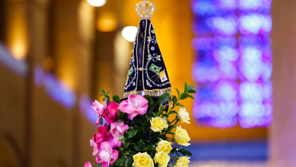 Imaculada Conceição, Rainha e Presidente do Brasil