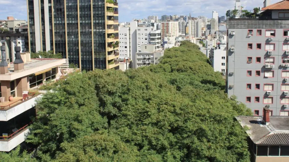 Rua Gonçalo de Carvalho, localizada no bairro Independência, em Porto Alegre, é considerada a mais bonita do mundo.
