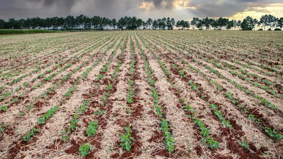 PIB do Rio Grande do Sul foi o principal destaque no terceiro trimestre de 2025 entre os estados do Sul.