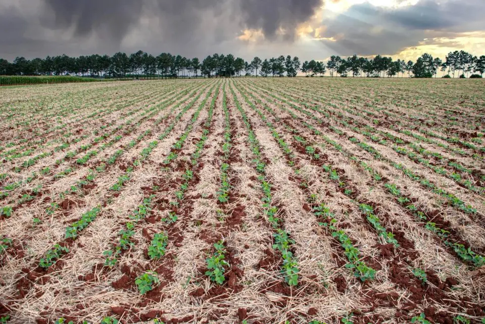 PIB do Rio Grande do Sul foi o principal destaque no terceiro trimestre de 2025 entre os estados do Sul.