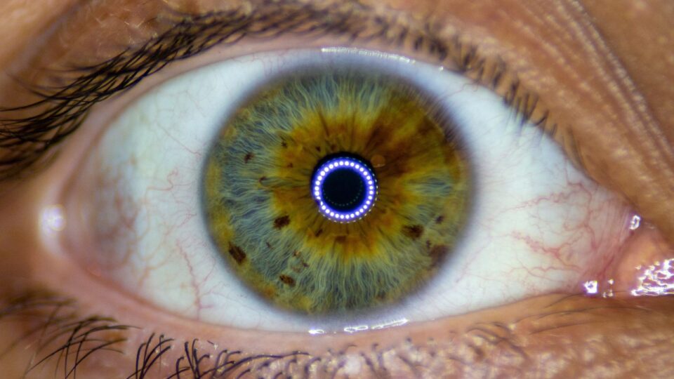 Novo microchip permite que pacientes cegos voltem a ler