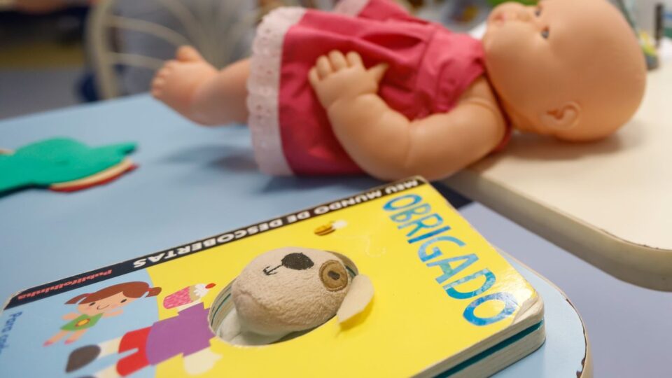 Como vai funcionar o cadastro de pedófilos e agressores sexuais em SC