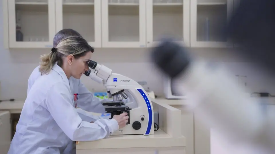 Vivência profissional: Os novos cursos da área da saúde na PUCPR Toledo contarão com laboratórios modernos e tecnologia de ponta para garantir o aprendizado prático desde o início da graduação.