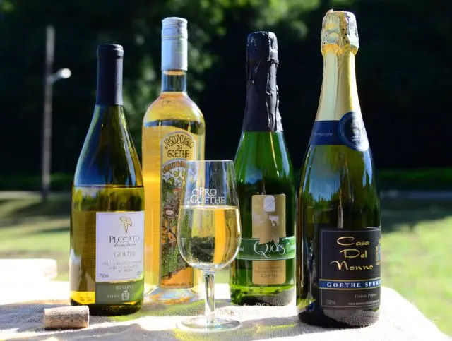 A uva Goethe produz um vinho considerado de sabor único.