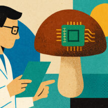 Imagem referente a matéria