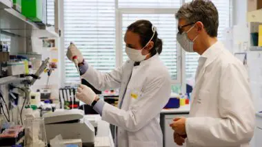 Labortário de virologia na Alemanha: saber diferenciar entre possibilidade e probabilidade é a chave para não transformar prudência em alarmismo