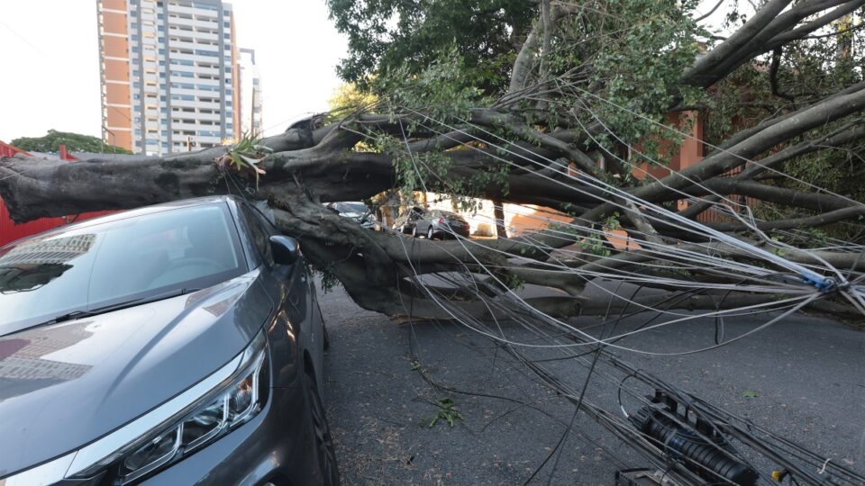 Governo sobe o tom e ameaça Enel de perda da concessão em SP