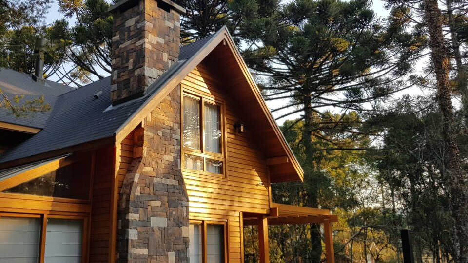 Protegida por lei, Araucária ganha protagonismo no paisagismo de imóveis de alto padrão