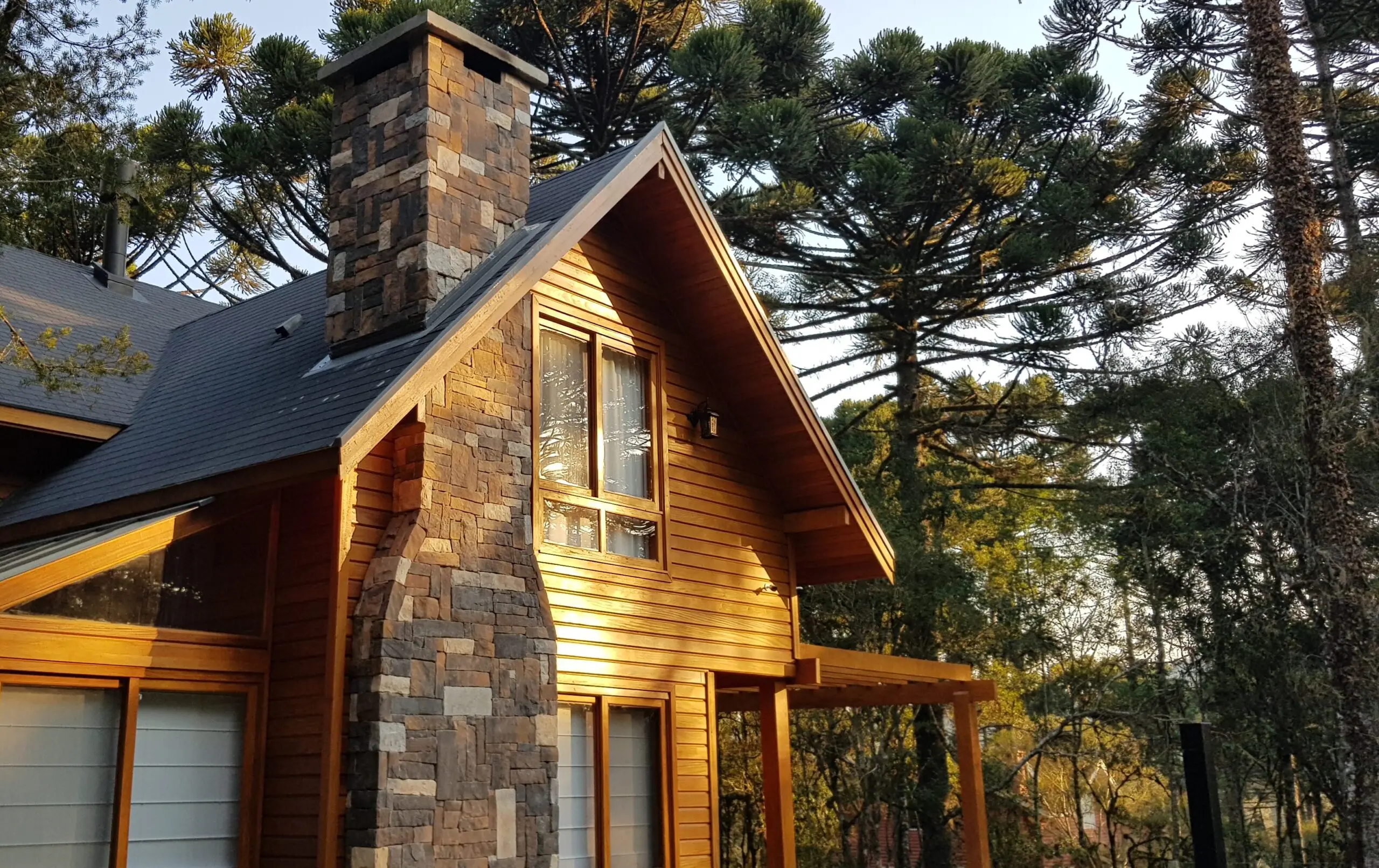 Antes vista como entrave urbano, a araucária agora orienta fluxos, paisagismo e experiências nos novos empreendimentos.